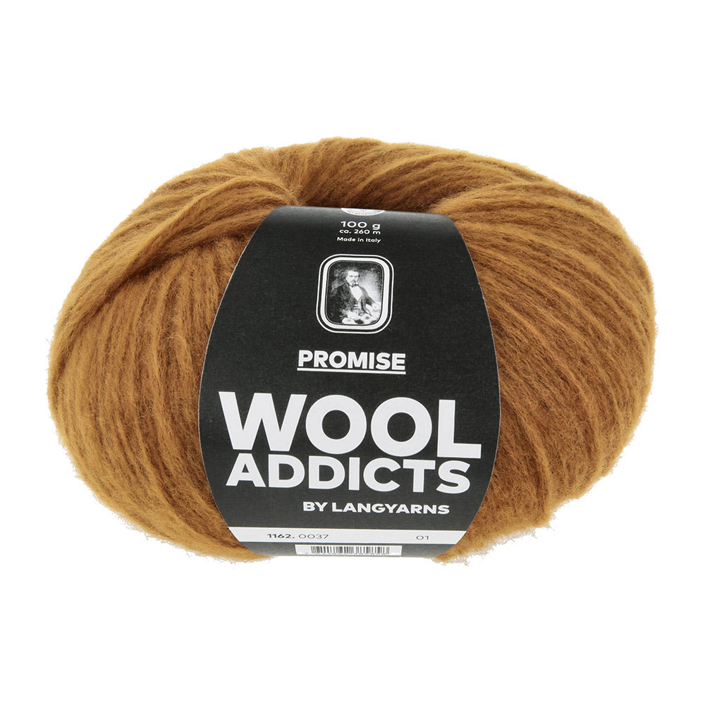 Lang Yarns Promise 0037 Omber - bol garen van voren