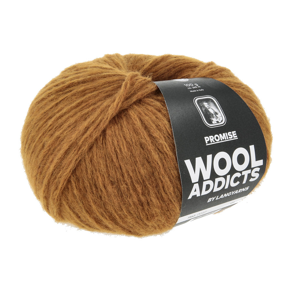 Lang Yarns Promise 0037 Omber - bol garen van opzij