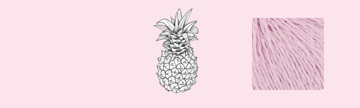 Ananas garen