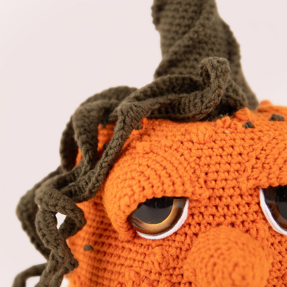 Pompoen — gemaakt met Amigurumi Herfstfestival - Pompoen Pip - CB's Creations Haakpakket - inclusief patroon (2)