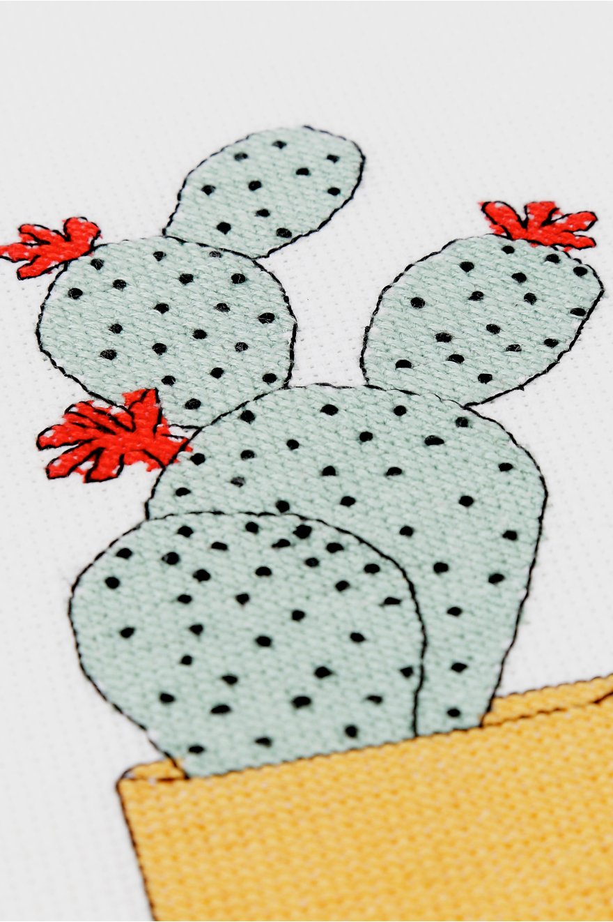 Pat — gemaakt met Borduurpatroon Gebloemde Cactus (4)
