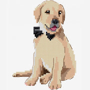 Borduurpatroon Golden Retriever