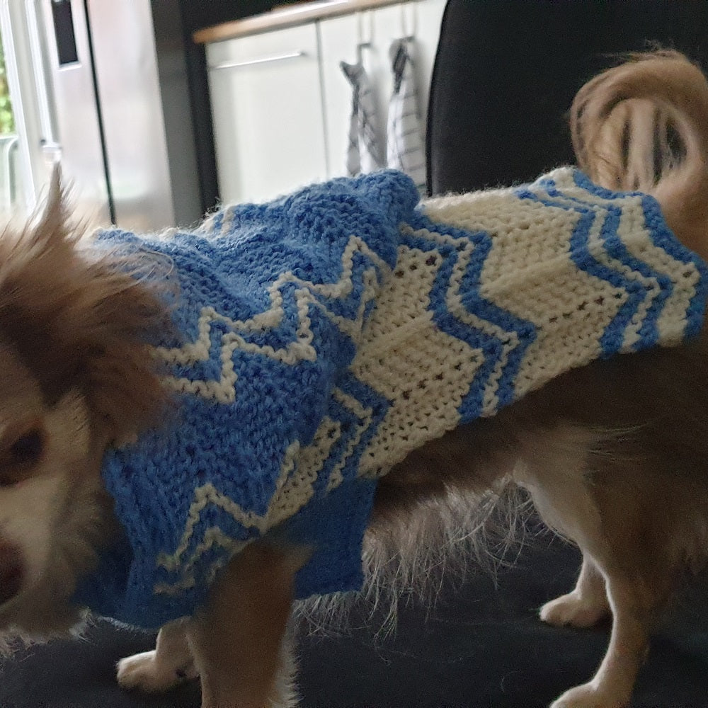 Met dodge de hond — gemaakt met Breipatroon Dodges Hoodie