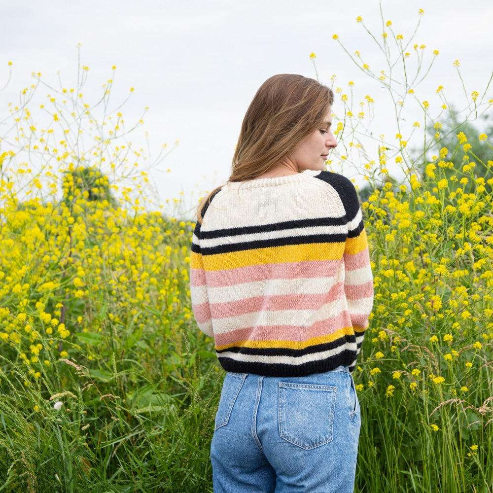 Ecopuno kleding — gemaakt met Breipatroon Ecopuno Grafische Raglantrui (Digital) (2)