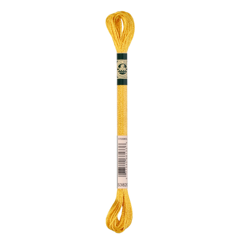 DMC 1008F Mouliné Satin Borduurgaren 8m S3820