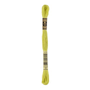 DMC 117MC Mouliné Spécial Borduurgaren 8m 12