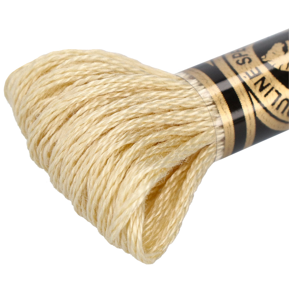 Wdmc mc — gemaakt met DMC 117MC Mouliné Spécial Borduurgaren 8m 3047