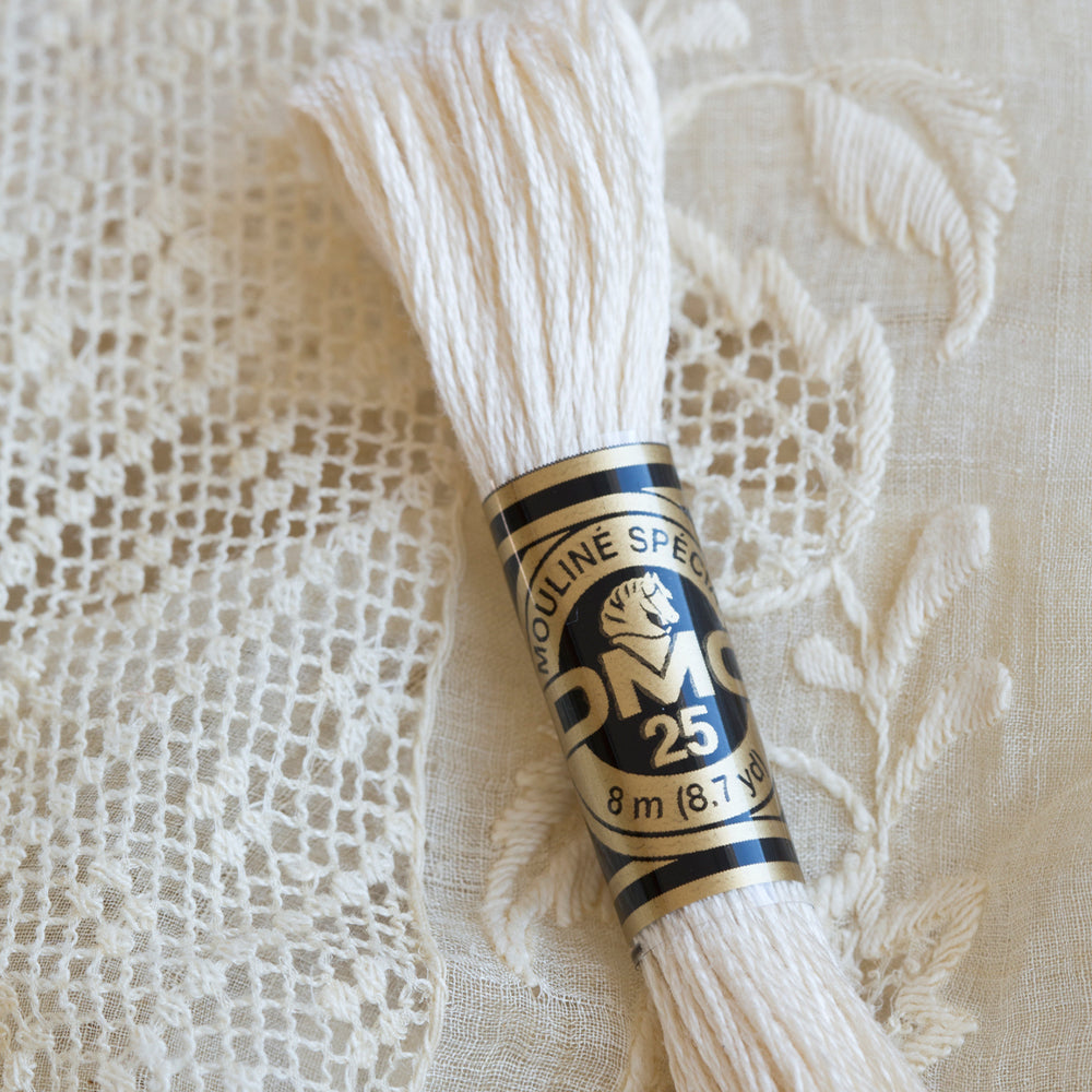 Sfeerbeeld met DMC 117MC Mouliné Spécial Borduurgaren 8m 3752 (2)