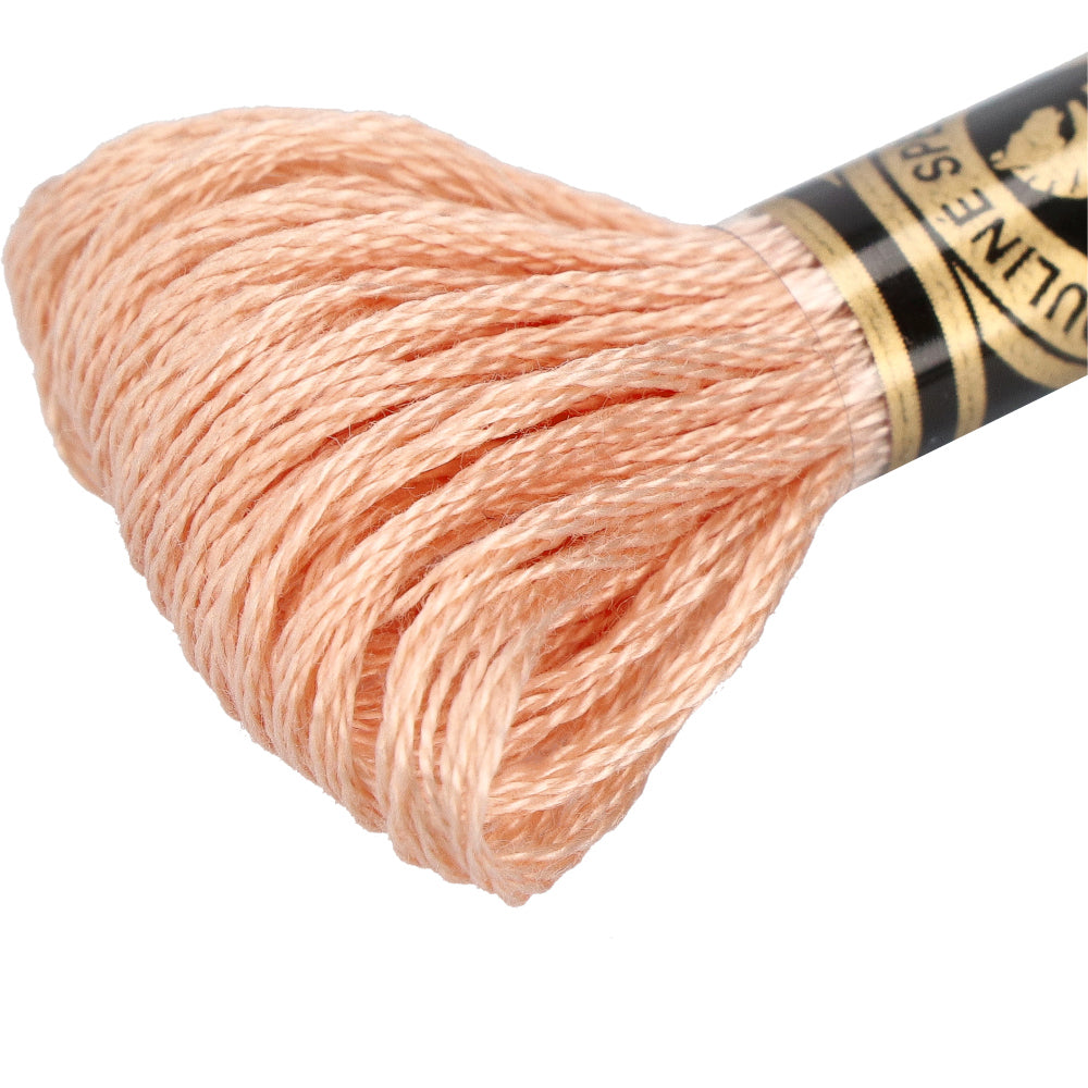 Wdmc mc — gemaakt met DMC 117MC Mouliné Spécial Borduurgaren 8m 3771
