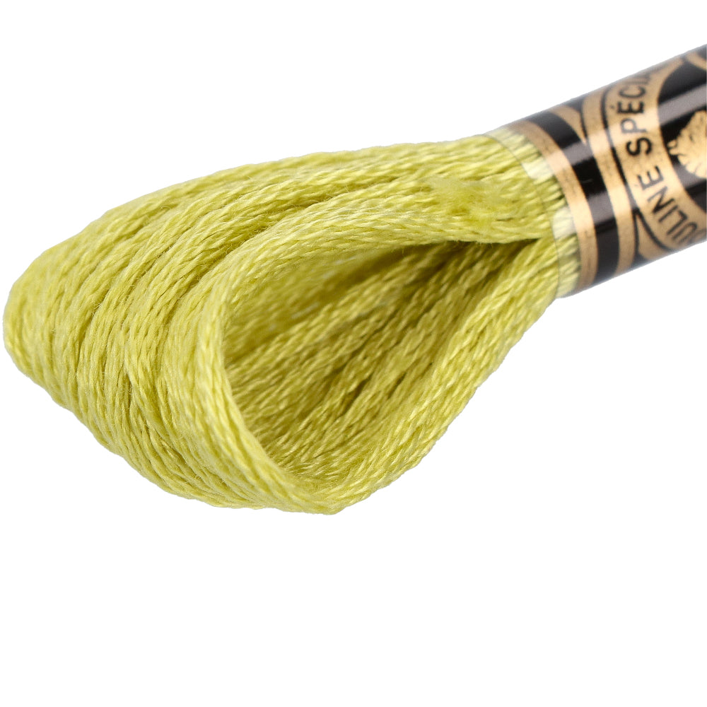 Wdmc mc — gemaakt met DMC 117MC Mouliné Spécial Borduurgaren 8m 3819