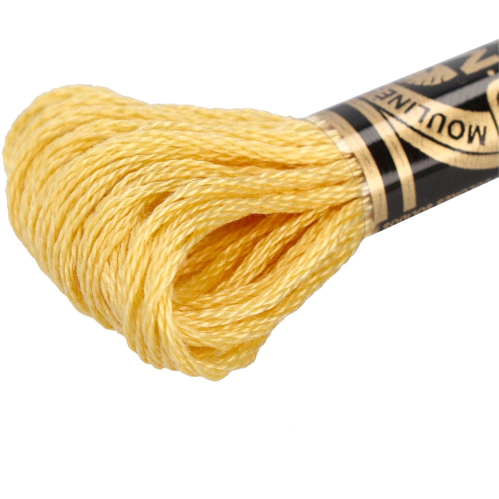 Wdmc mc — gemaakt met DMC 117MC Mouliné Spécial Borduurgaren 8m 3822