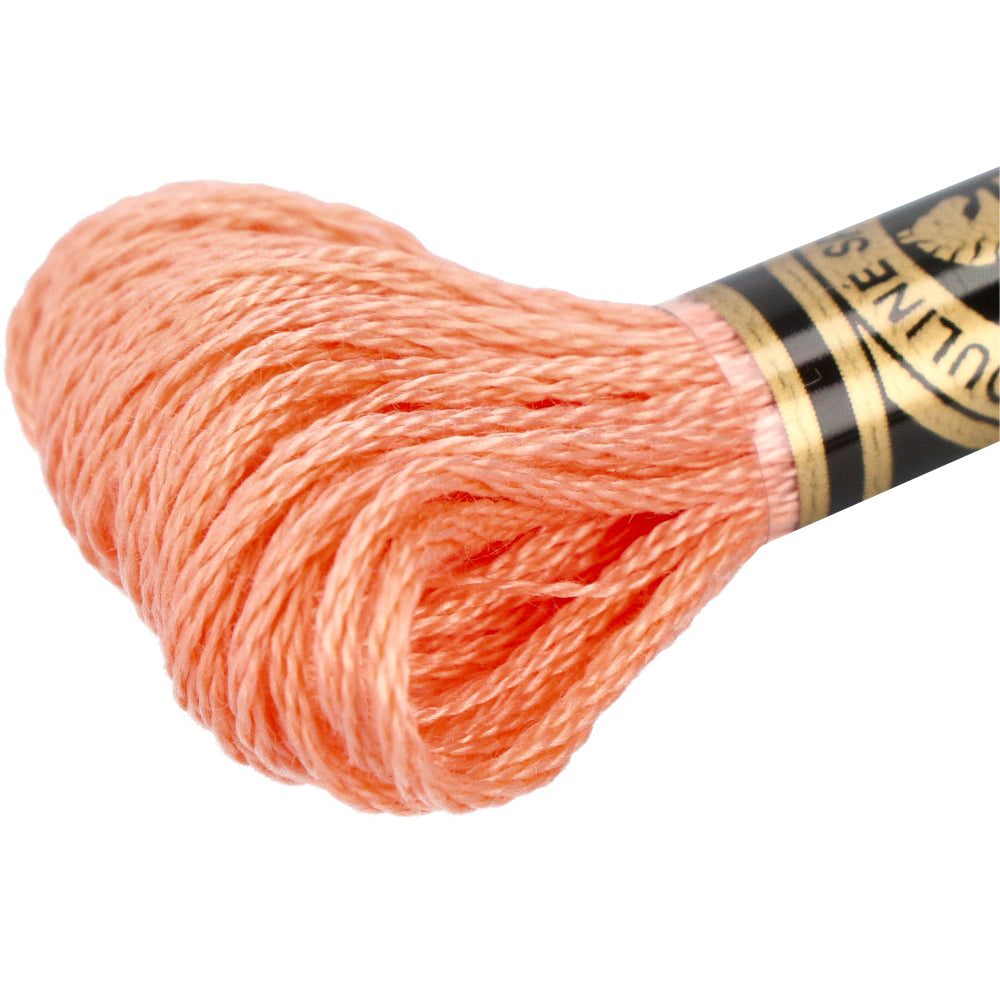Wdmc mc — gemaakt met DMC 117MC Mouliné Spécial Borduurgaren 8m 3824