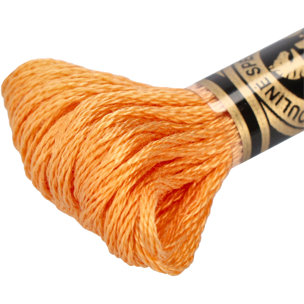 Wdmc mc — gemaakt met DMC 117MC Mouliné Spécial Borduurgaren 8m 3854