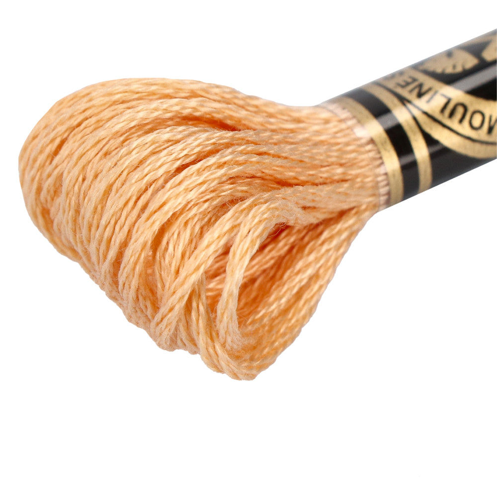 Wdmc mc — gemaakt met DMC 117MC Mouliné Spécial Borduurgaren 8m 3856