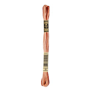 DMC 117MC Mouliné Spécial Borduurgaren 8m 69
