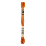 DMC 117MC Mouliné Spécial Borduurgaren 8m 976
