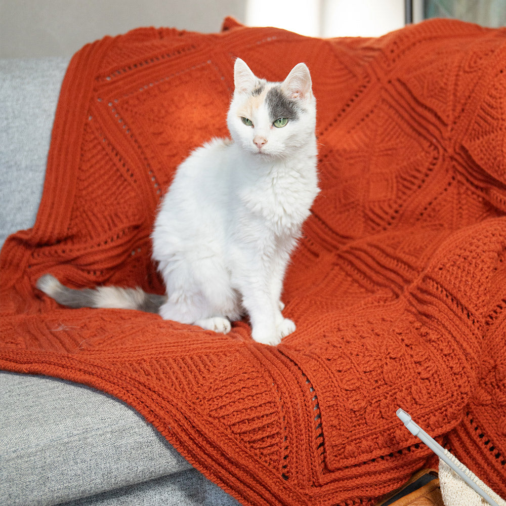 Chestnut — gemaakt met Droomdeken 8.0 CAL (haken) Yarn and Colors Amazing