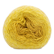 Durable Colour Cake 6006 Mango Mousse