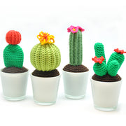 Haakpatroon Cactus