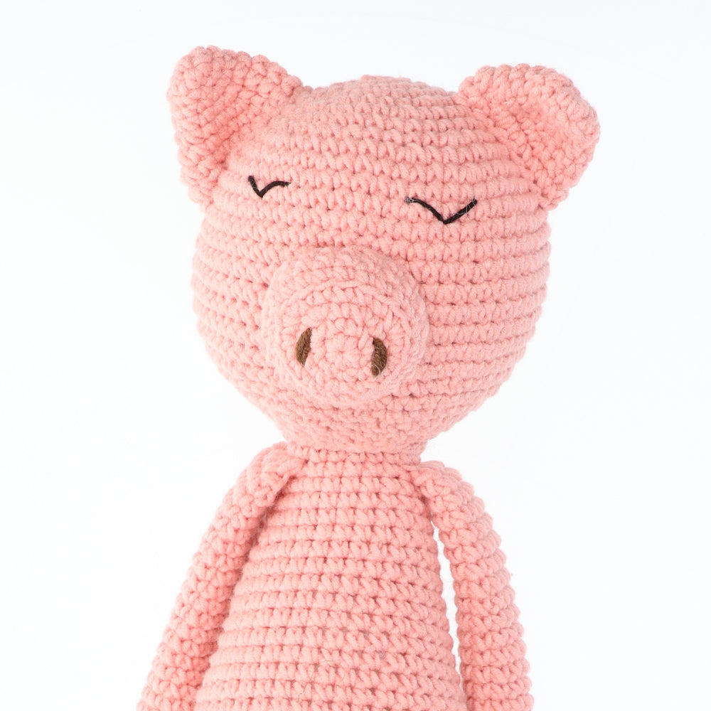 Patty pig — gemaakt met Haakpatroon Yarn and Colors Patty Pig (Digital) (3)