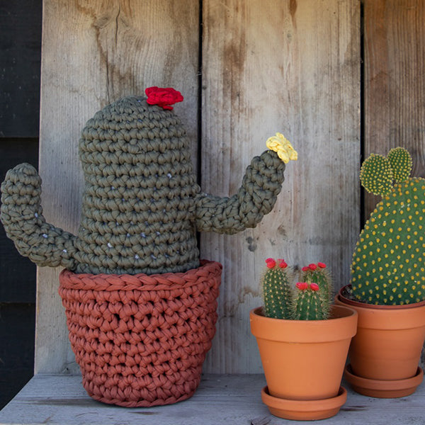Häkelanleitung Zpagetti XL Cactus