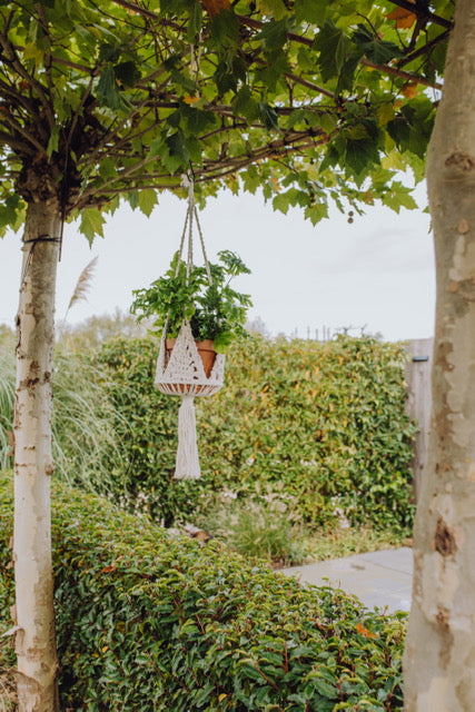 Happy outdoor living — gemaakt met Happy Outdoor Living (4)