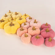 Herfstpompoen - Yarn and Colors Haakpakket