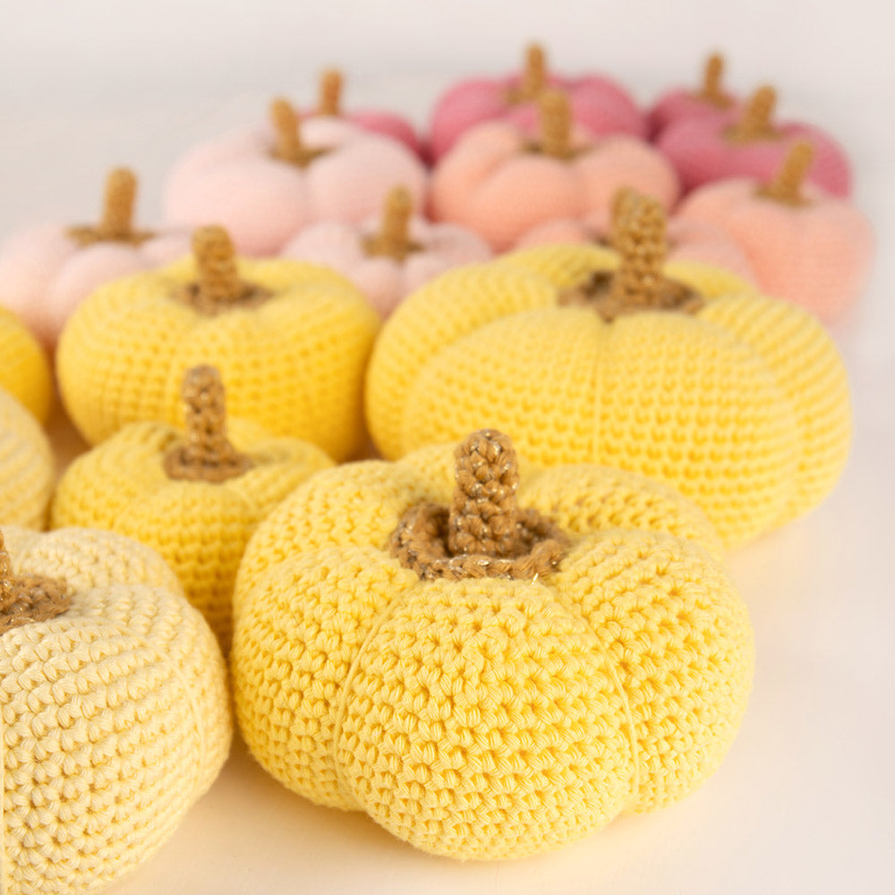 Pompoenen — gemaakt met Herfstpompoen - Yarn and Colors Haakpakket (2)