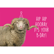 Wolplein Ansichtkaart - Hip Hip Hooray, it's your B-day