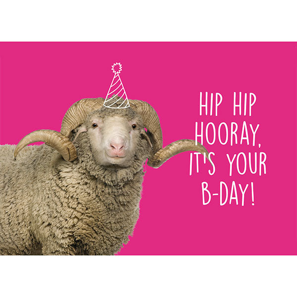 Wolplein Ansichtkaart - Hip Hip Hooray, it's your B-day