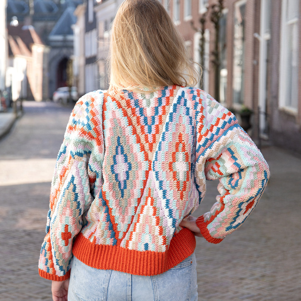 Kleurrijke V-hals Sweater Haakpakket (7)