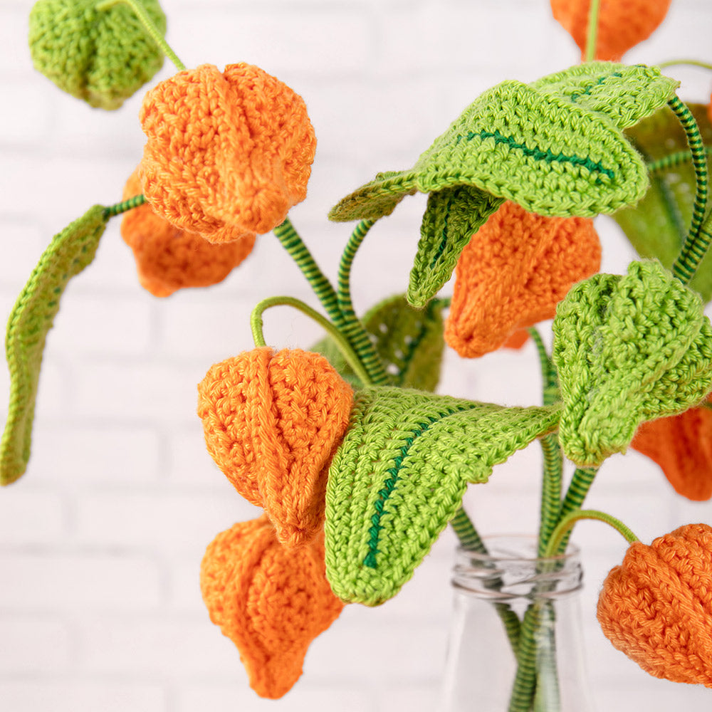 Bloemen — gemaakt met Lampionplant Haakpakket