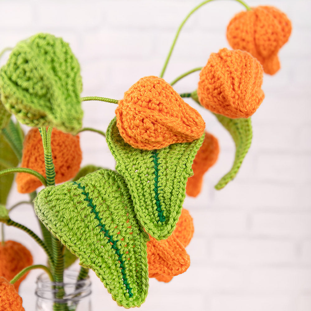 Bloemen — gemaakt met Lampionplant Haakpakket (2)