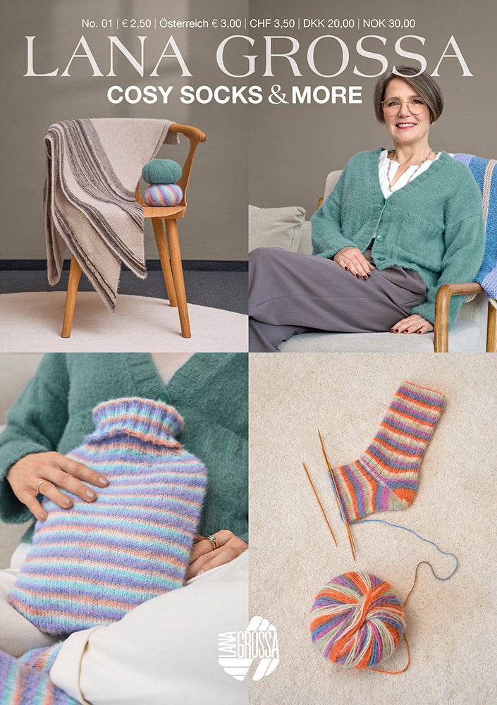 Lana Grossa Cosy Socks Flyer NL (Digitaal)