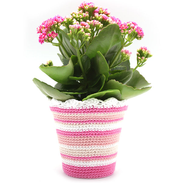 Patroon gehaakte bloempot