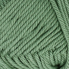 Scheepjes Catona 50g 102 Eucalyptus - Groot — gemaakt met Scheepjes Catona 50g