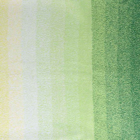 Scheepjes Cotton Whirl 713 Lemon Limeade - Scheepjes Cotton Whirl