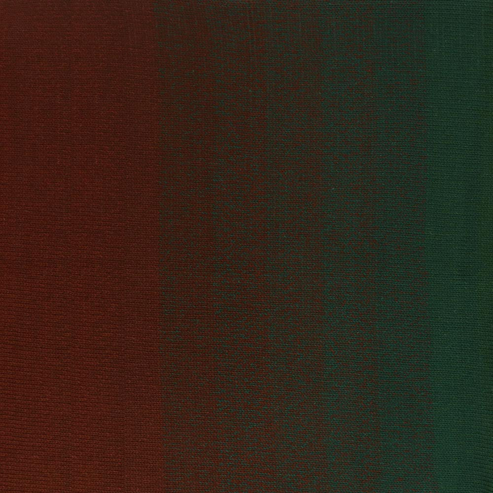 Scheepjes Cotton Whirl 727 Woodland Walk - Scheepjes Cotton Whirl
