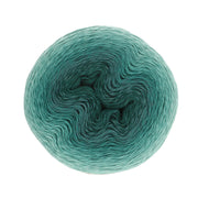 Scheepjes Whirl Ombre 562 Petrol Please Me