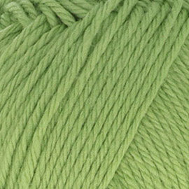 Scheepjes Woolwise 755 Pine Needle - Scheepjes Woolwise (4)