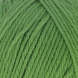 Scheepjes Woolwise 756 Agave Green - Scheepjes Woolwise (4)