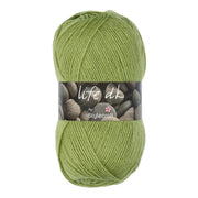 Stylecraft Life DK 2311 Fern