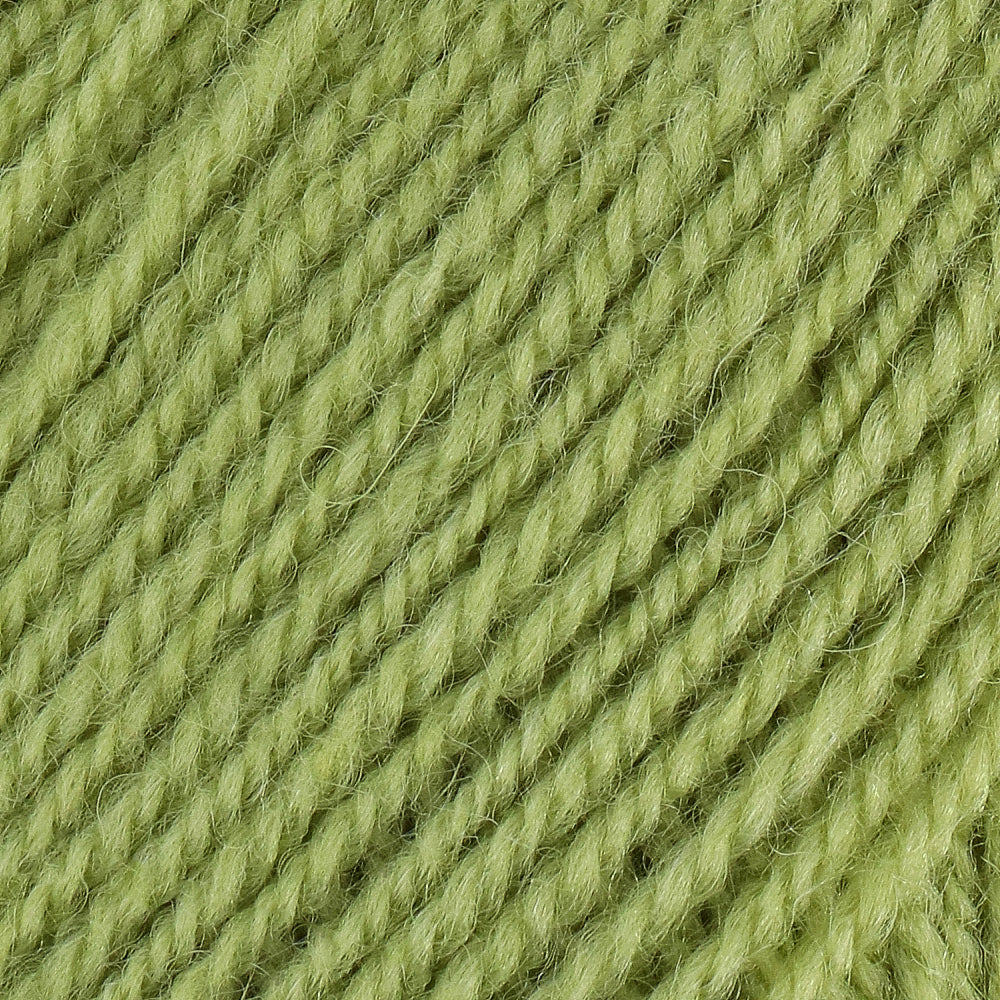Stylecraft Life DK 2311 Fern (2)