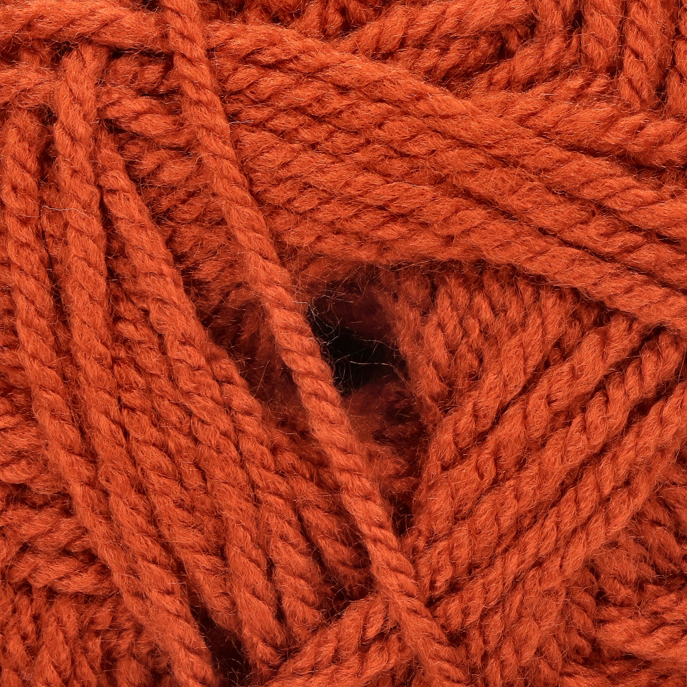 Stylecraft Special Aran 1029 Copper (2)