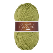 Stylecraft Special Aran 1065 Meadow