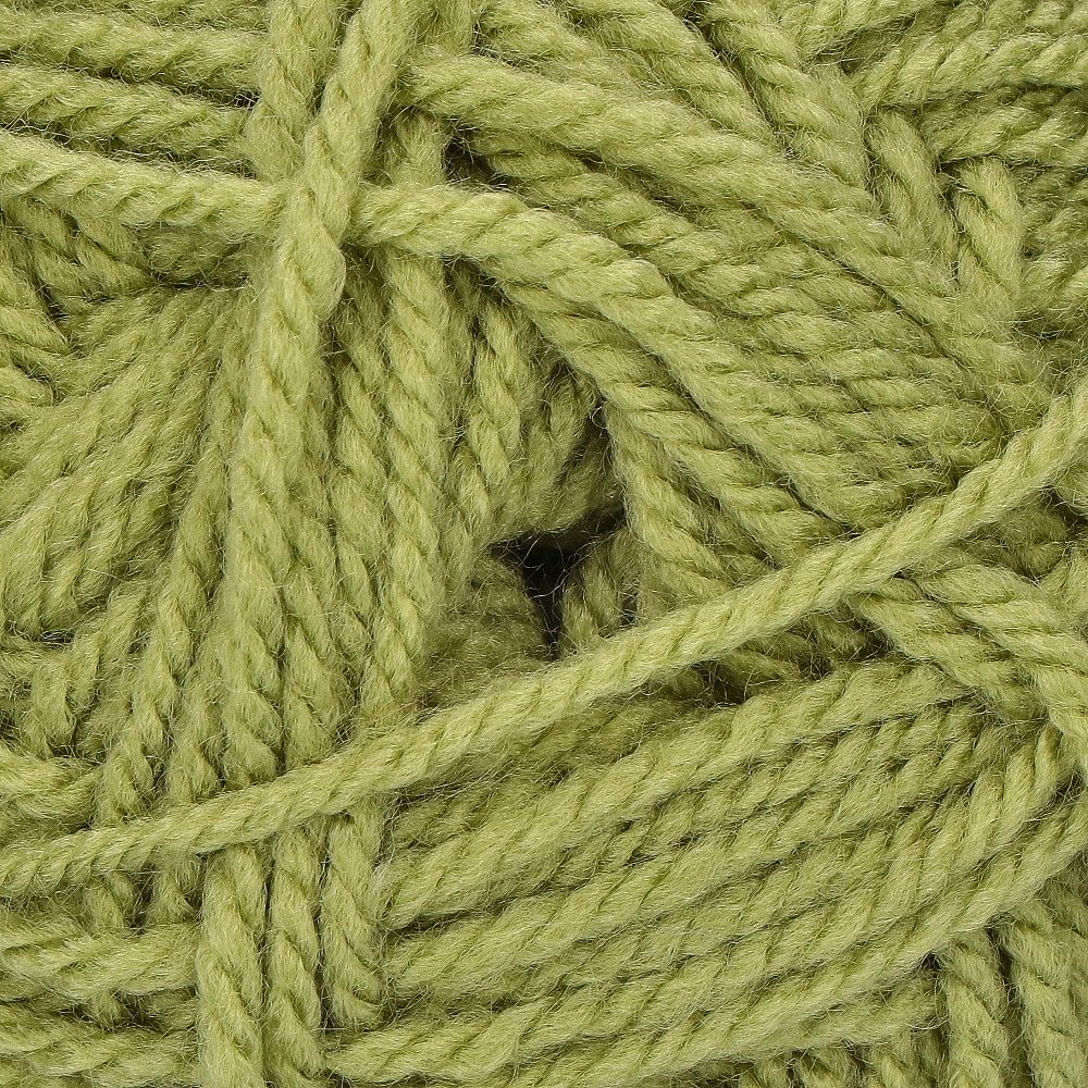 Stylecraft Special Aran 1065 Meadow (2)