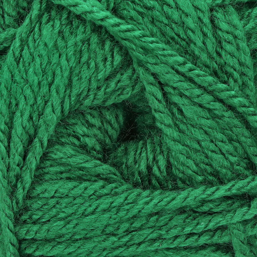 Stylecraft Special Aran 1116 Green (2)