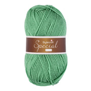 Stylecraft Special Aran 1725 Sage