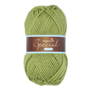 Stylecraft Special Chunky 1065 Meadow