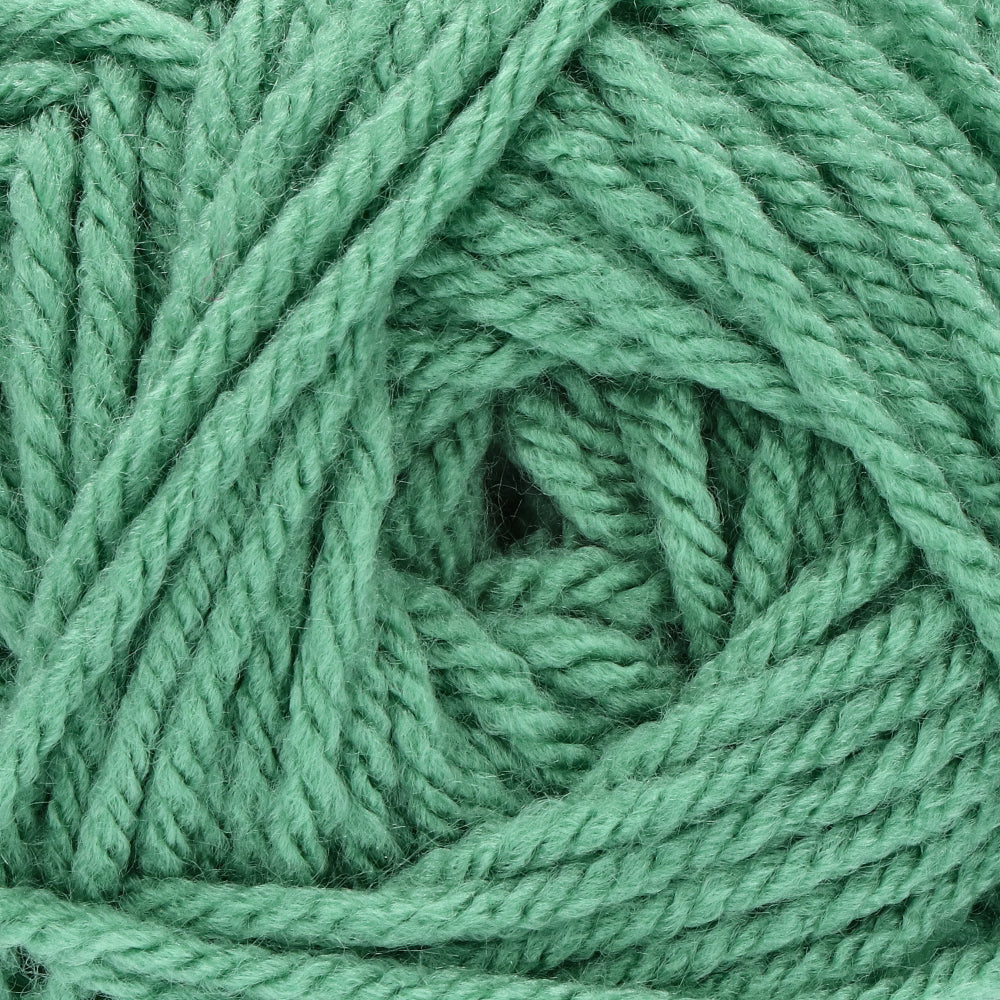Stylecraft Special Chunky 1725 Sage (2)
